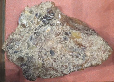ambergris price per kilo|Fishermen Net Once.